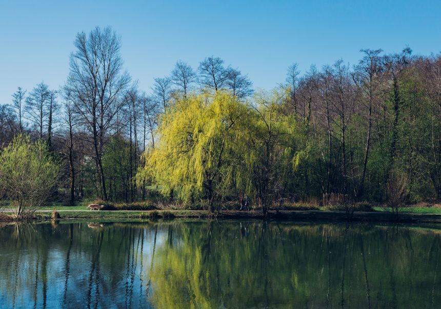 Detall del cartell del seminari.